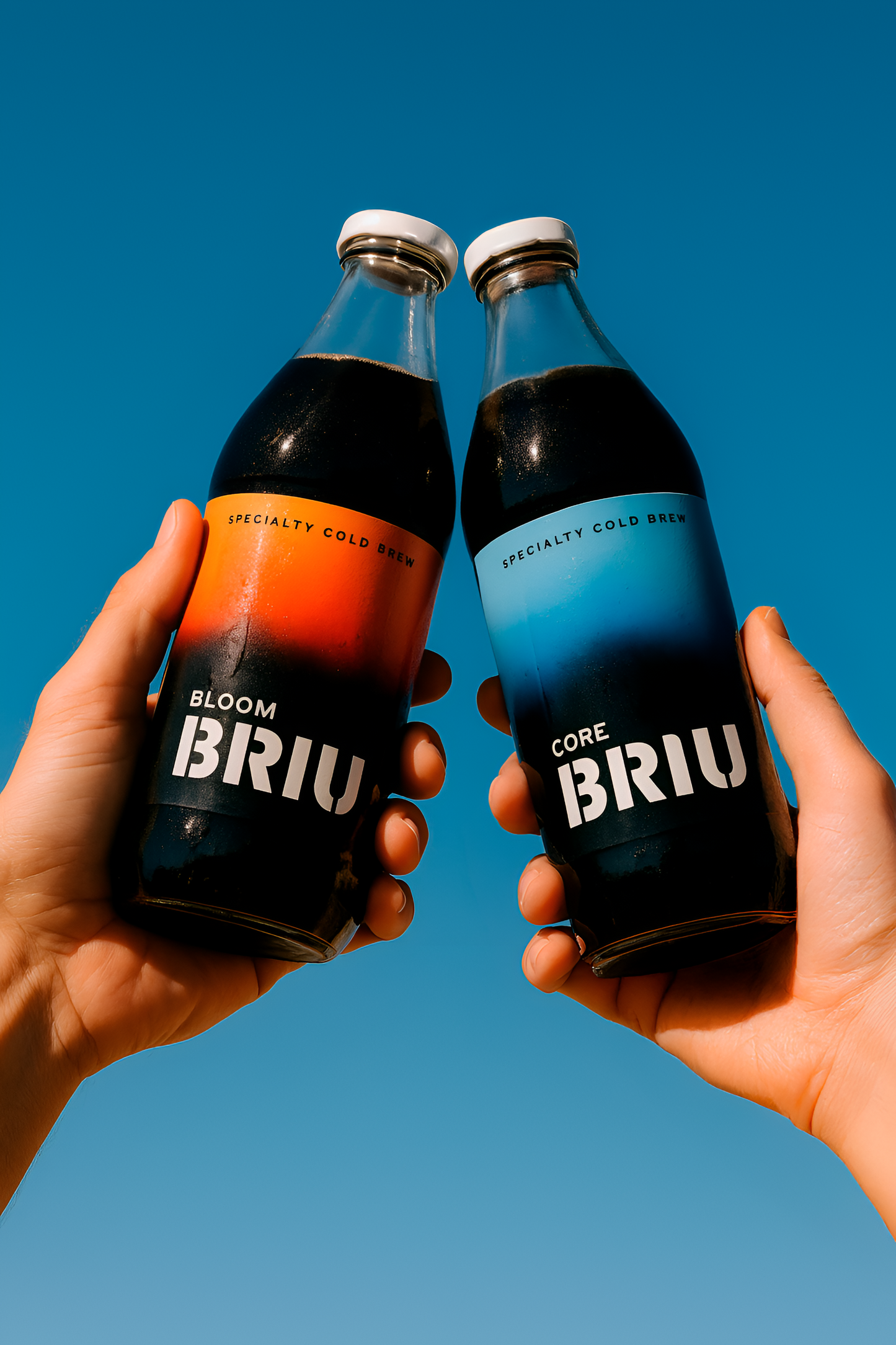 Pack BRIU Mixto (250 ml)