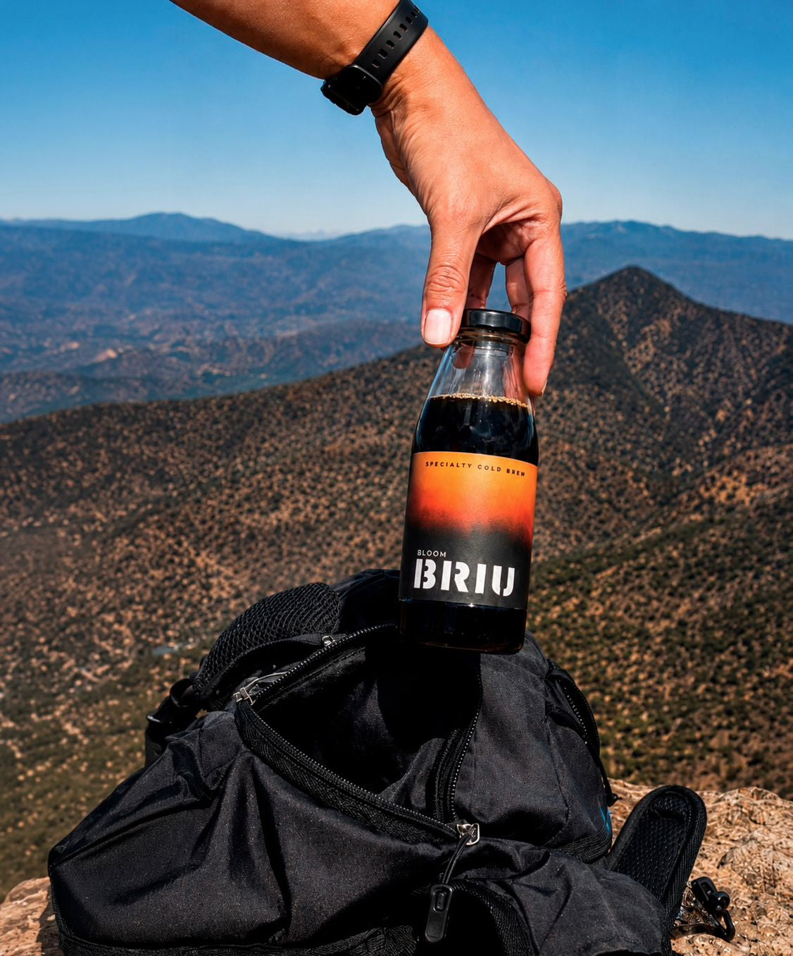 Pack BRIU Bloom (250 ml)
